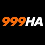 999HA Game