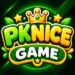 PkNice Game